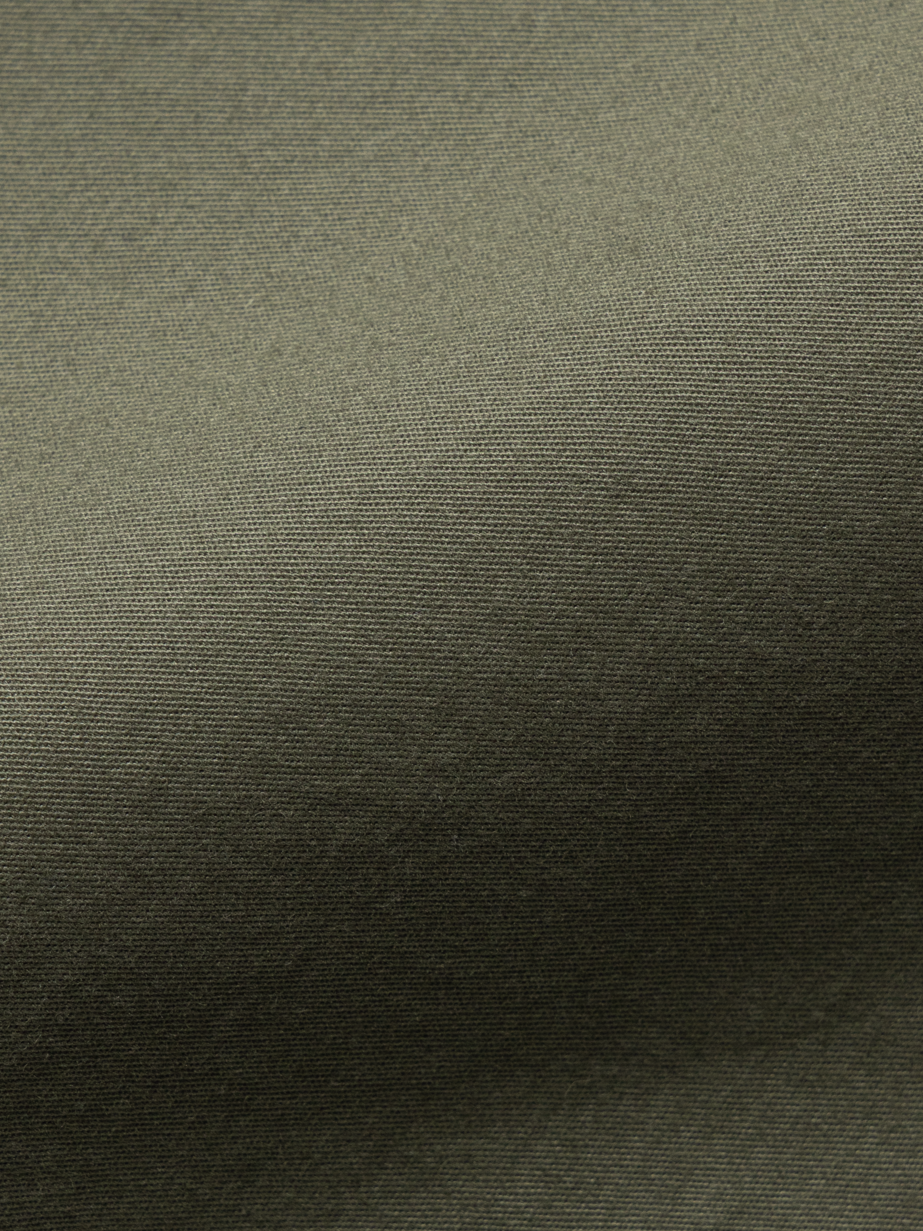 Short Corto Chino